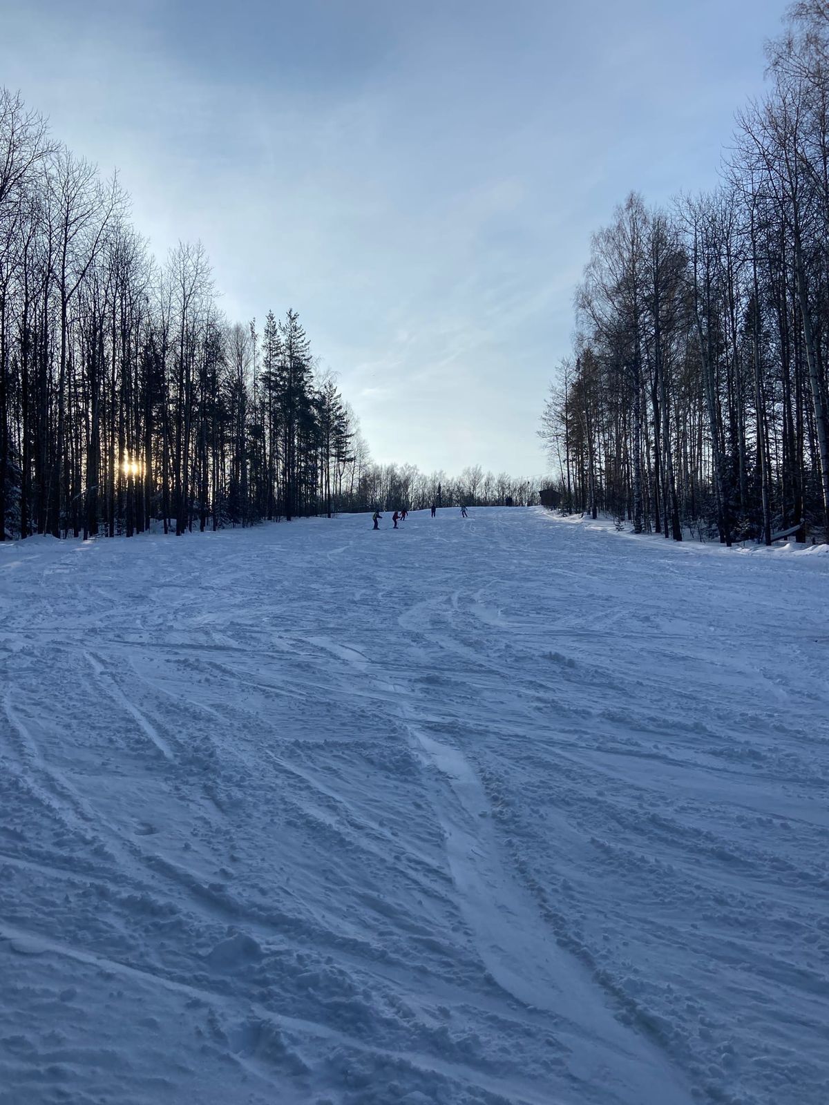 Пихтовый гребень - фото 5