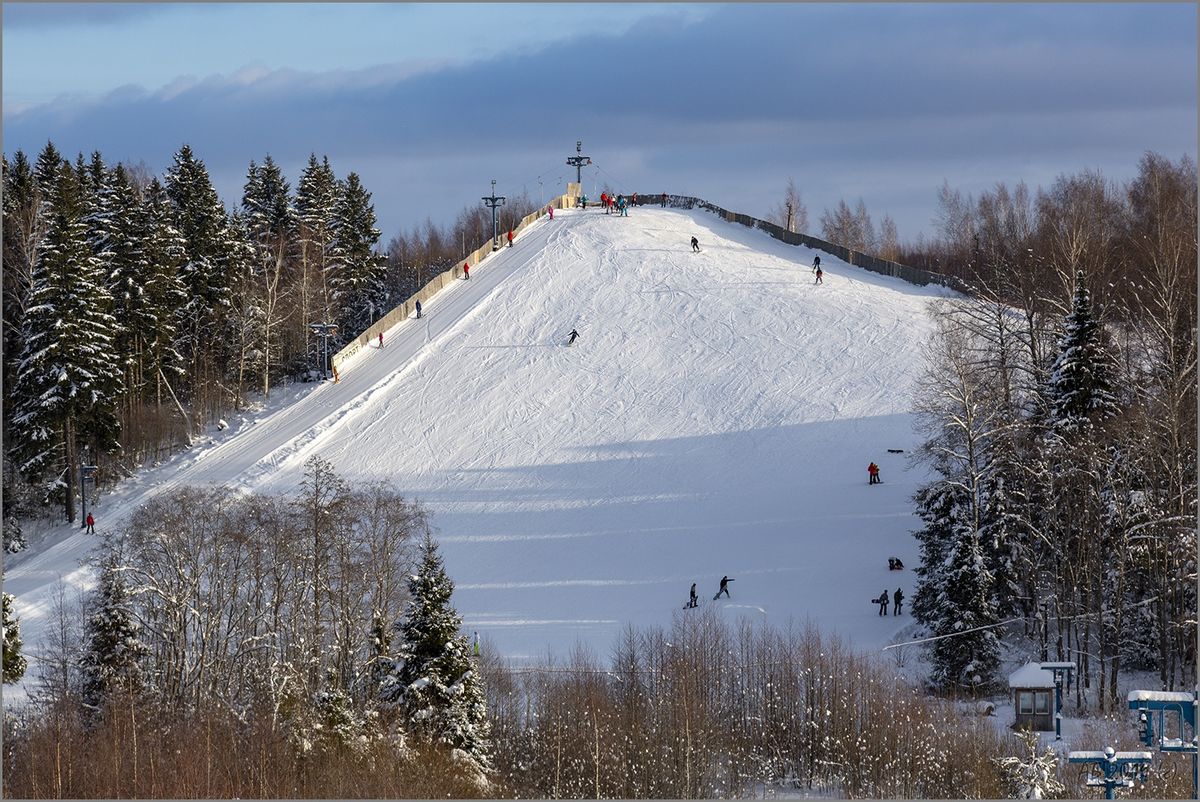 ЯрПарк - фото 1