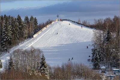 ЯрПарк