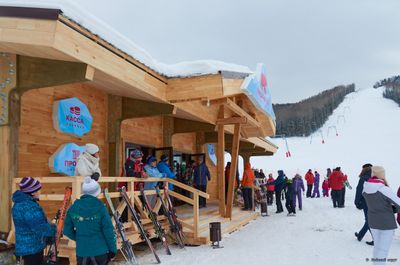 Мишина гора