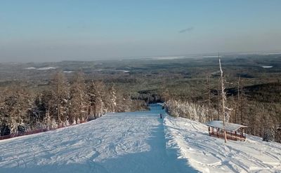 Егоза