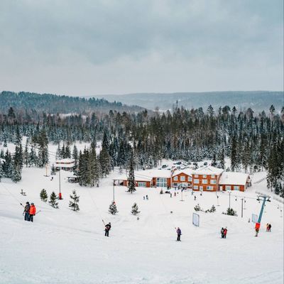 Любогорье