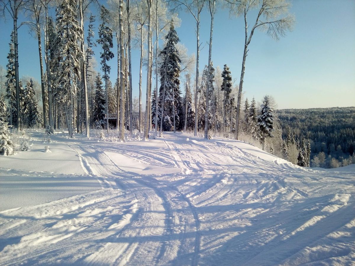 Куртявель - фото 7