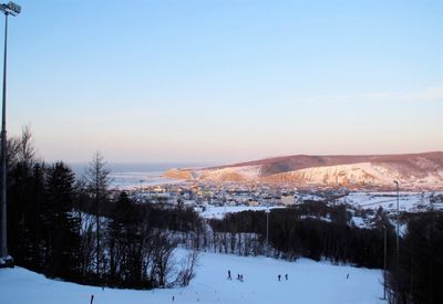Томари